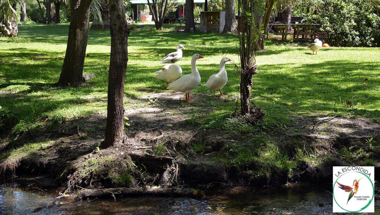 Вілла Chacra La Escondida Колонія-дель-Сакраменто Екстер'єр фото